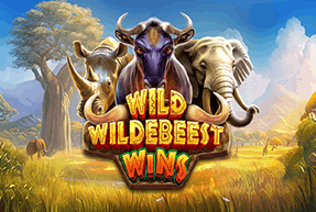 Wild Wildebeest Wins